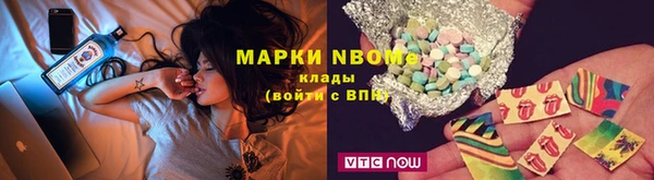 PSILOCYBIN Алзамай
