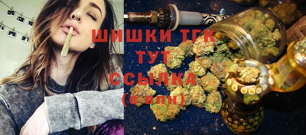PSILOCYBIN Алзамай