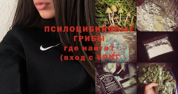 PSILOCYBIN Алзамай