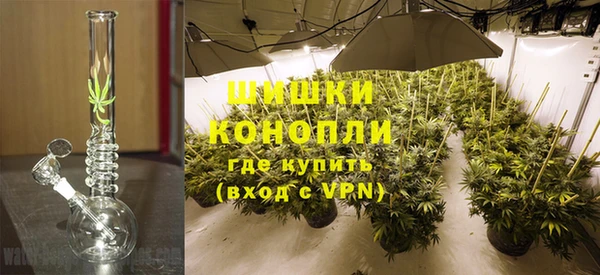 PSILOCYBIN Алзамай